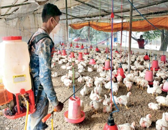 फॉर्म में नियमित सफाई फॉर्म में नियमित सफाई