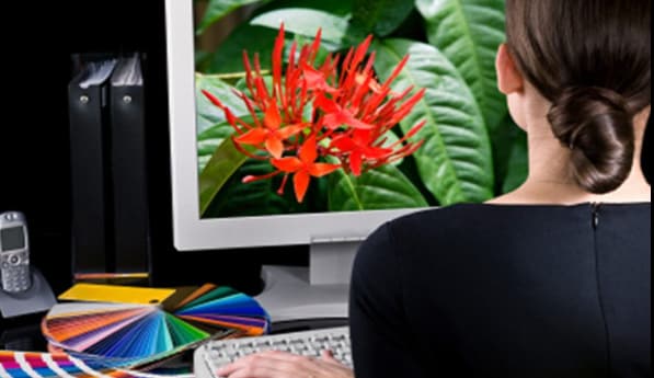 फ्रीलांसिंग फ्रीलांसिंग