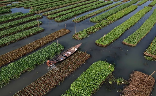 2. जलीय कृषि और बहुपरतीय फसलें (Aquaponics): 2. जलीय कृषि और बहुपरतीय फसलें (Aquaponics):