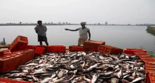 3. बायोफ्लॉक तकनीक: 3. बायोफ्लॉक तकनीक: