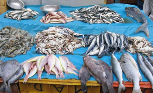 6. बाजार और बिक्री चैनल तैयार करें: 6. बाजार और बिक्री चैनल तैयार करें: