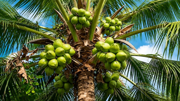 Indian agriculture growth Indian agriculture growth