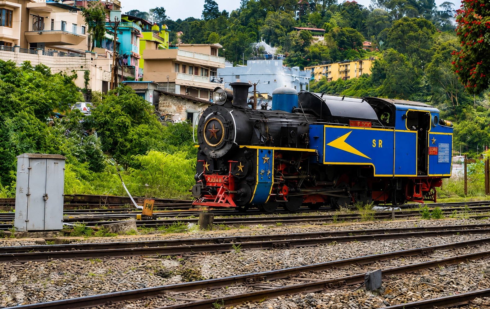 Steam Train Darjeeling