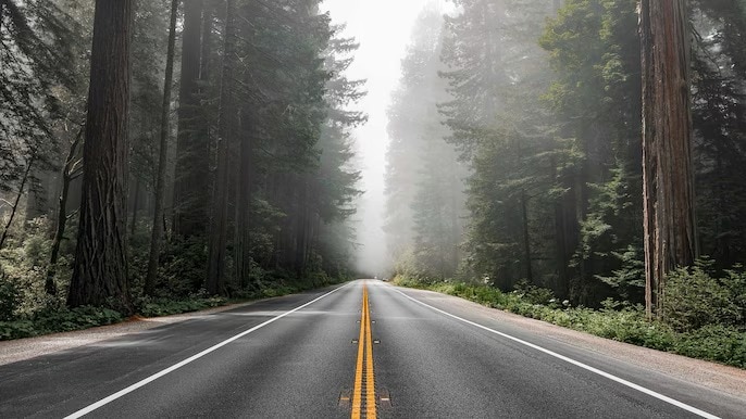 Bengaluru weekend road trips