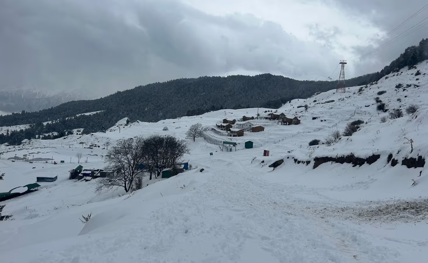 Auli Uttarakhand