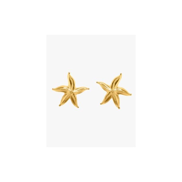 Amama Equiivalence Sea Star Studs, ₹1,647