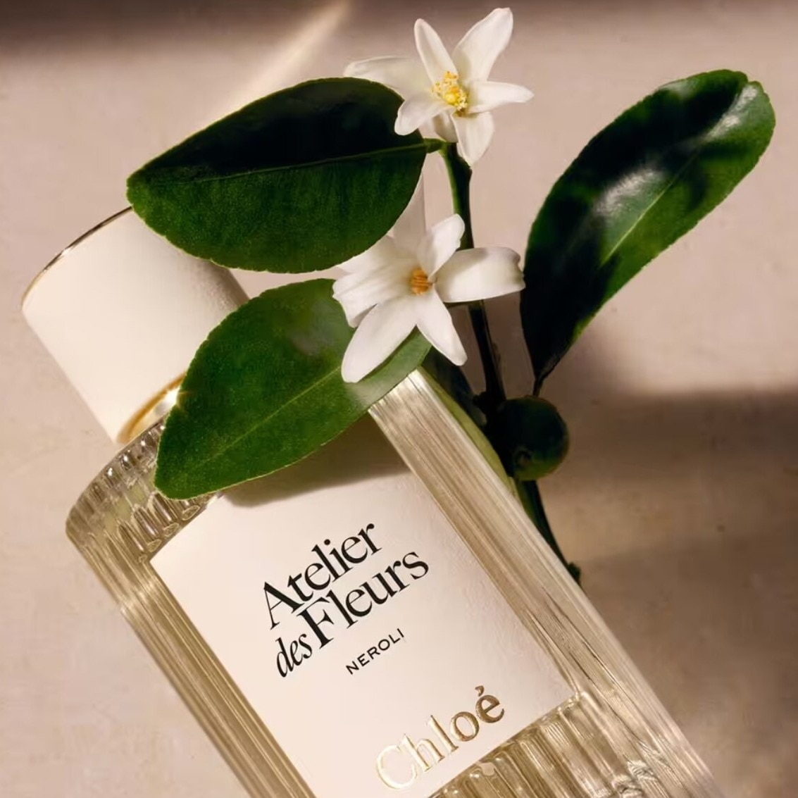 These dreamy neroli perfumes are made for monsoon season