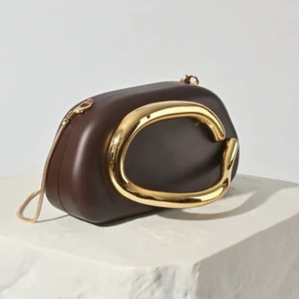 Mini West Ashley Brown Handheld Clutch, ₹3,999 