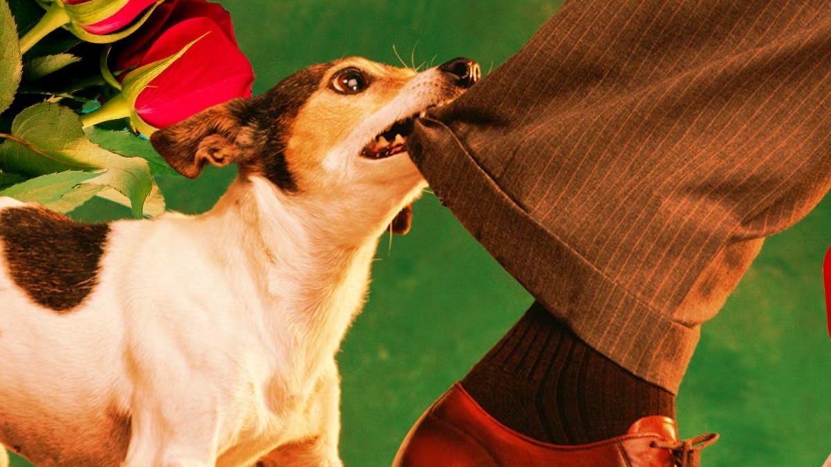 Is it time to leave dogs out of our dating lives?