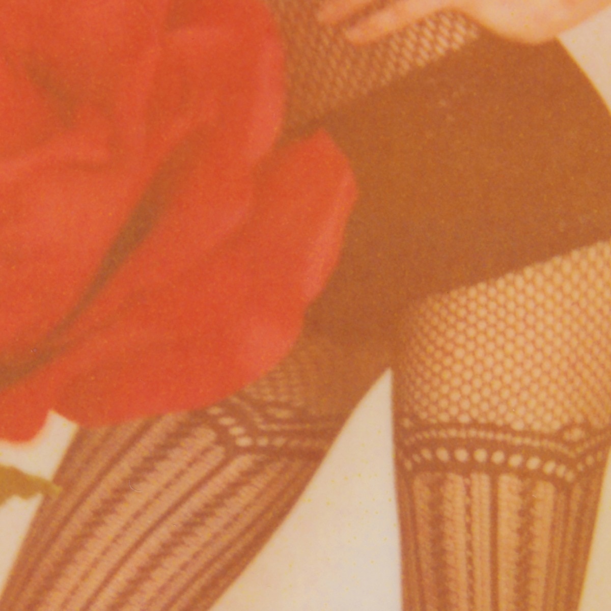 From taboo to talk of the town—how India’s kink communities are redefining curiosity, consent, and connection