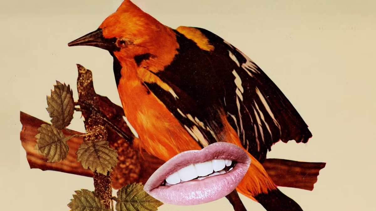 The science behind the “bird theory”