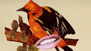 The science behind the “bird theory” The science behind the “bird theory”