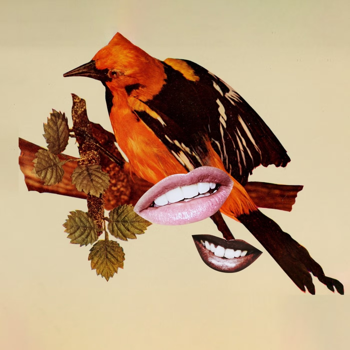 The science behind the “bird theory”