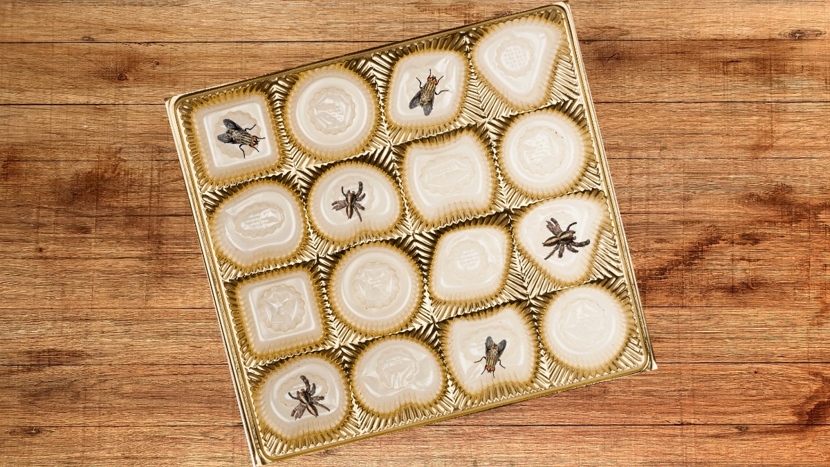 No, you should not get your situationship a Valentine’s Day gift