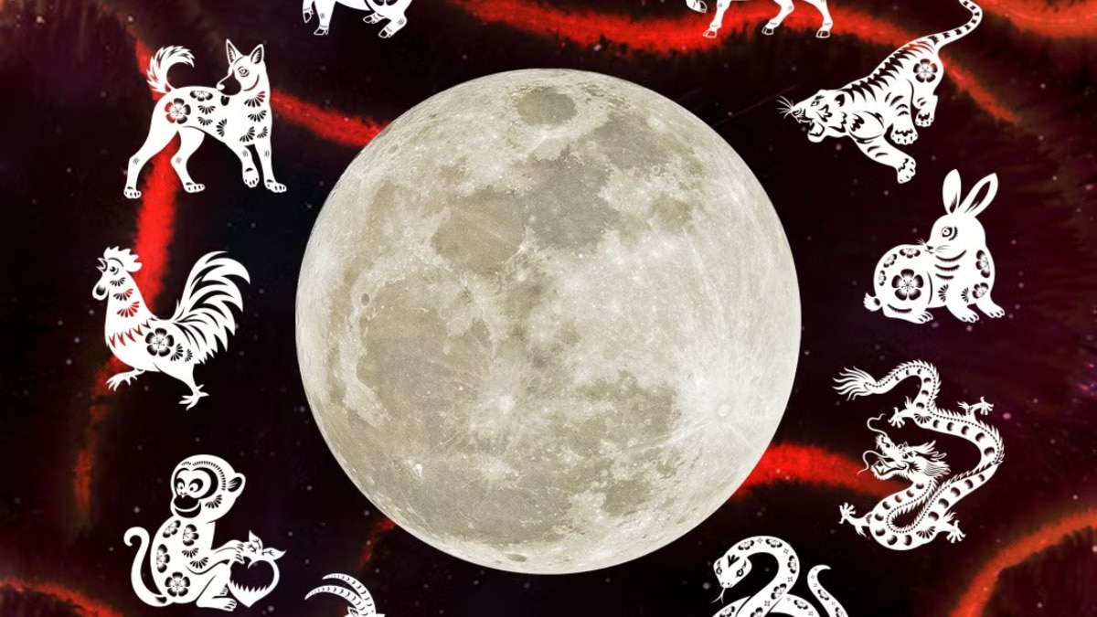 How to find your Chinese zodiac sign