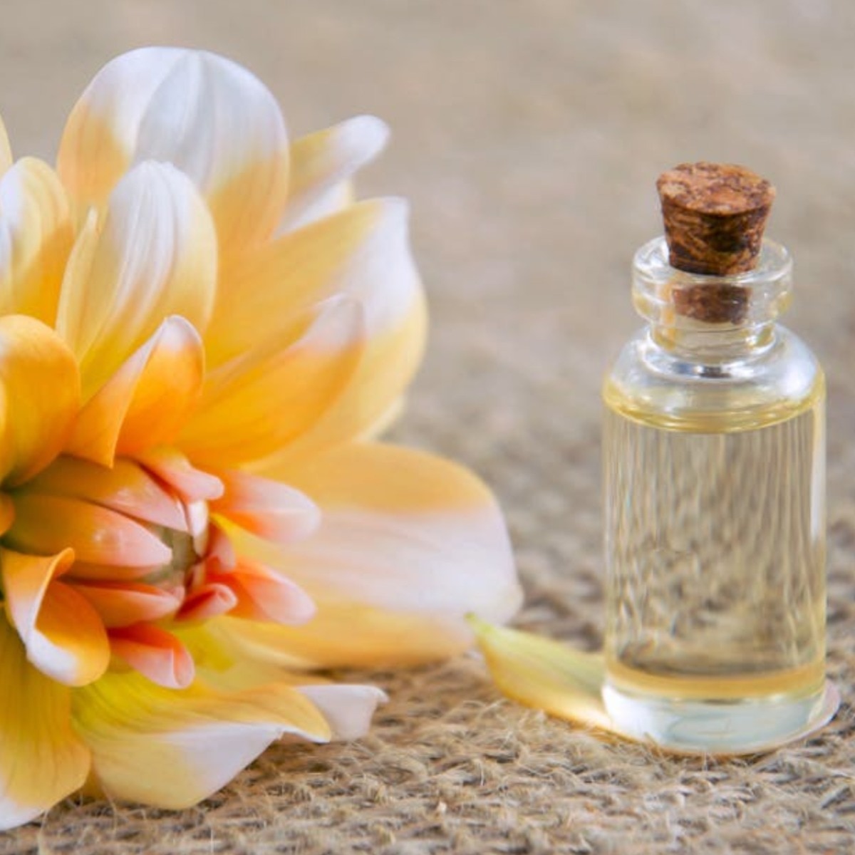 The one spring perfume your zodiac sign will love