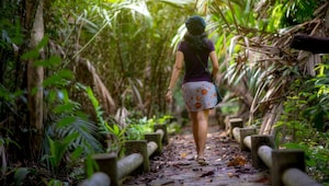 “I tried ‘forest bathing’ to cure my neurodivergent burnout – here’s my honest review” “I tried ‘forest bathing’ to cure my neurodivergent burnout – here’s my honest review”