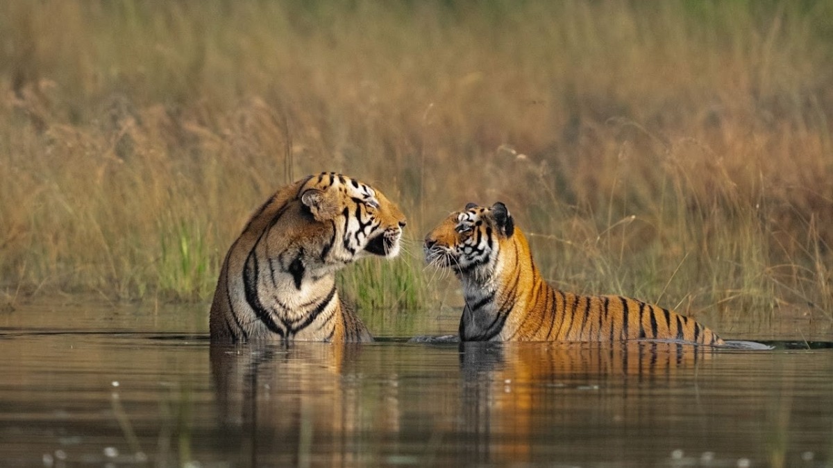 Planning your first safari as a couple? Start here