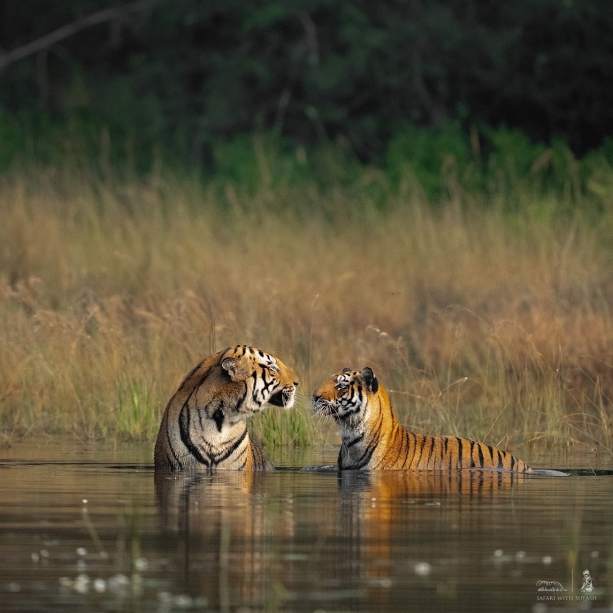 Planning your first safari as a couple? Start here