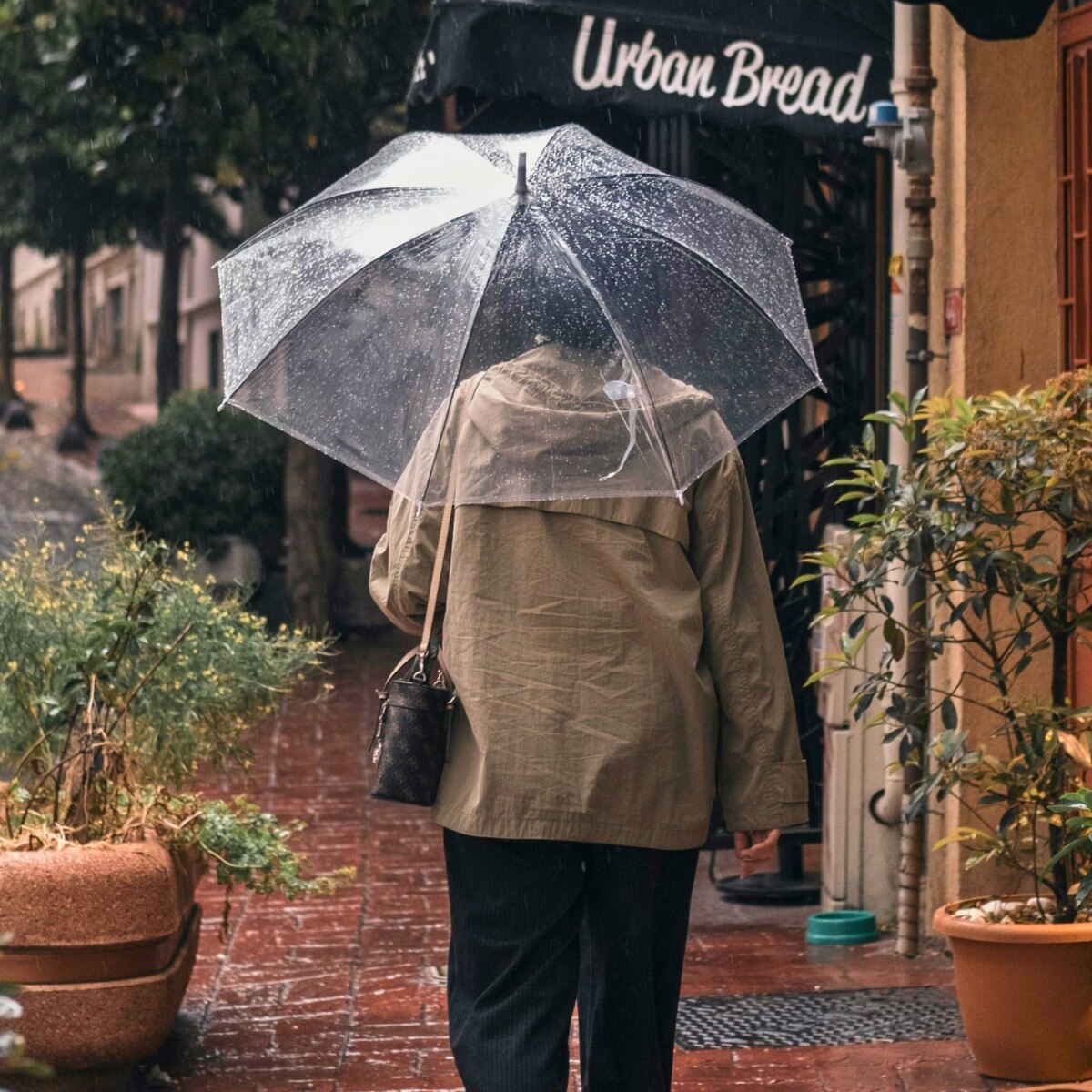 Monsoon essentials that will save your outfits, hair, and mood this rainy season