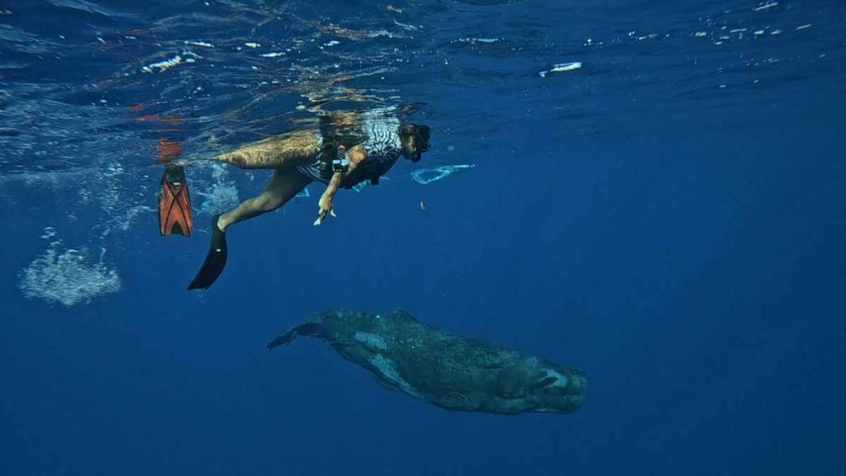 Why Mauritius deserves a spot on every diver’s bucket list