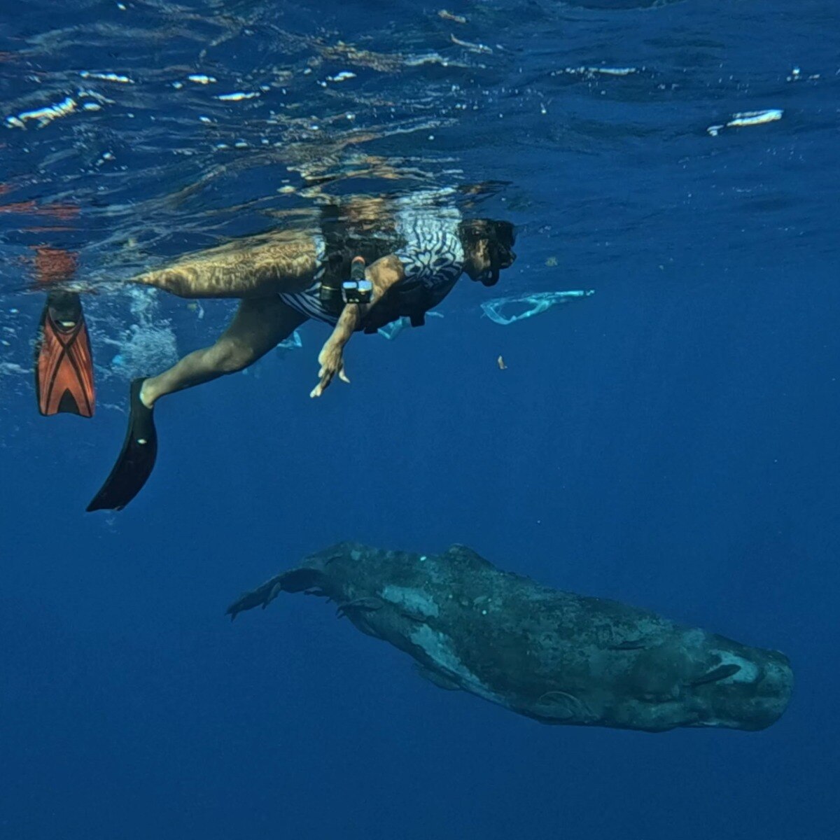 Why Mauritius deserves a spot on every diver’s bucket list