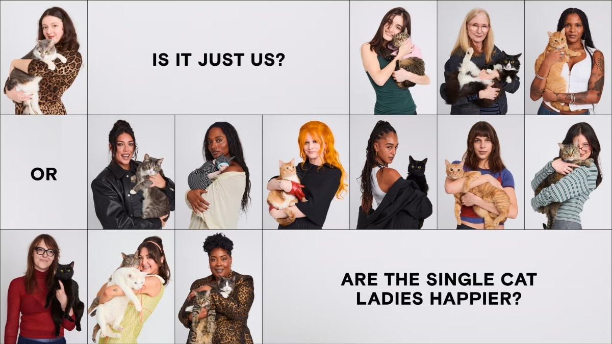 Is it just us? Or are the single cat ladies happier? Is it just us? Or are the single cat ladies happier?
