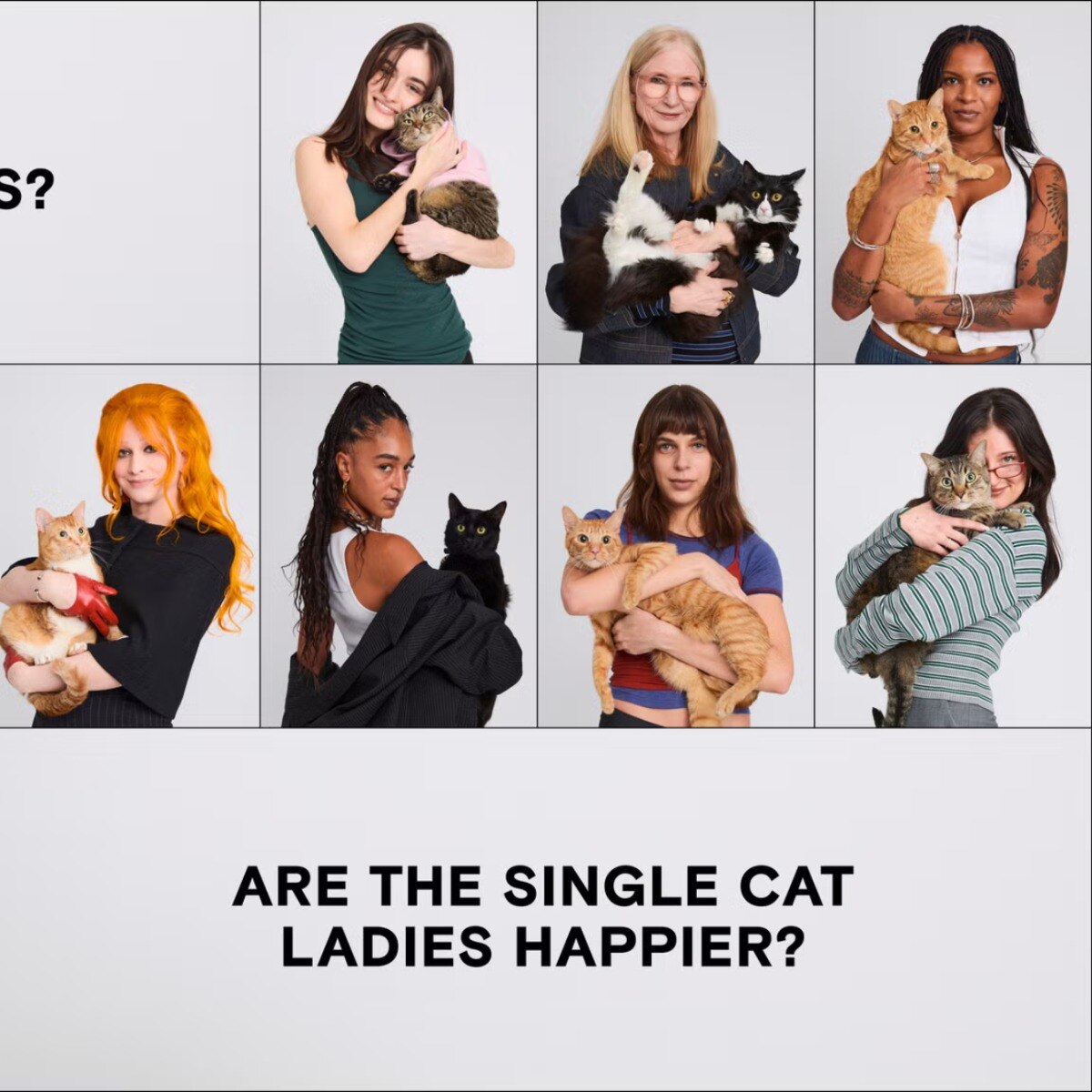 Is it just us? Or are the single cat ladies happier?
