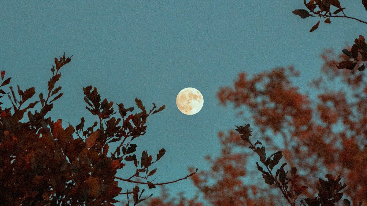 How you can take advantage of a full moon