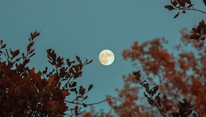 How you can take advantage of a full moon How you can take advantage of a full moon