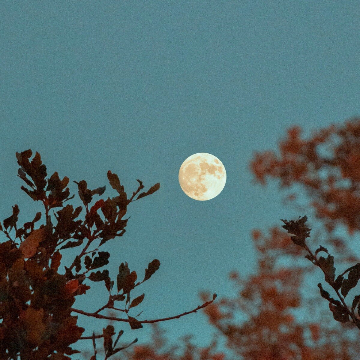 How you can take advantage of a full moon