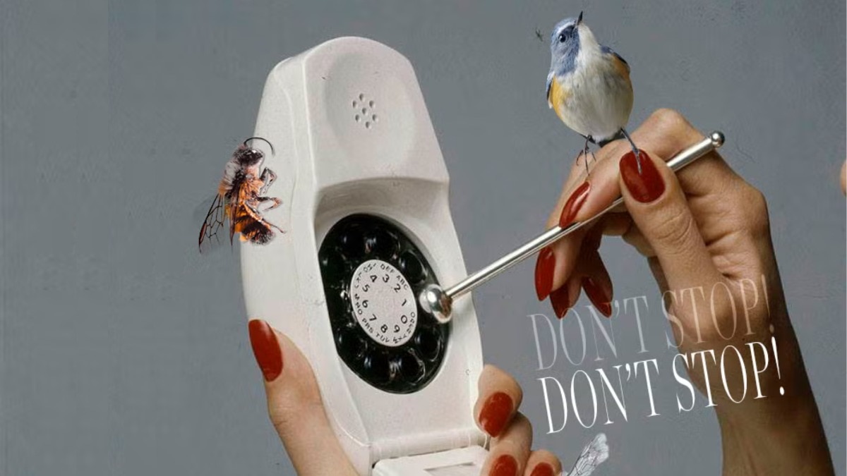 How to have phone sex, according to sex experts
