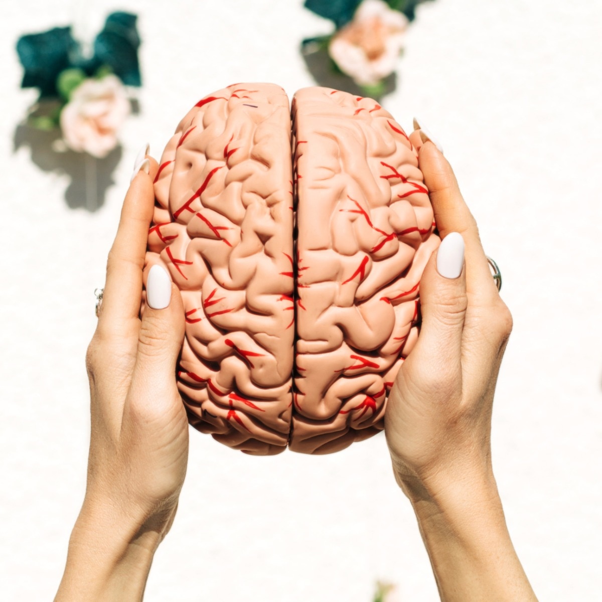 From 'banking' sleep to your brain's nightly 'wash cycle': Surprising ways to futureproof your mind at any age
