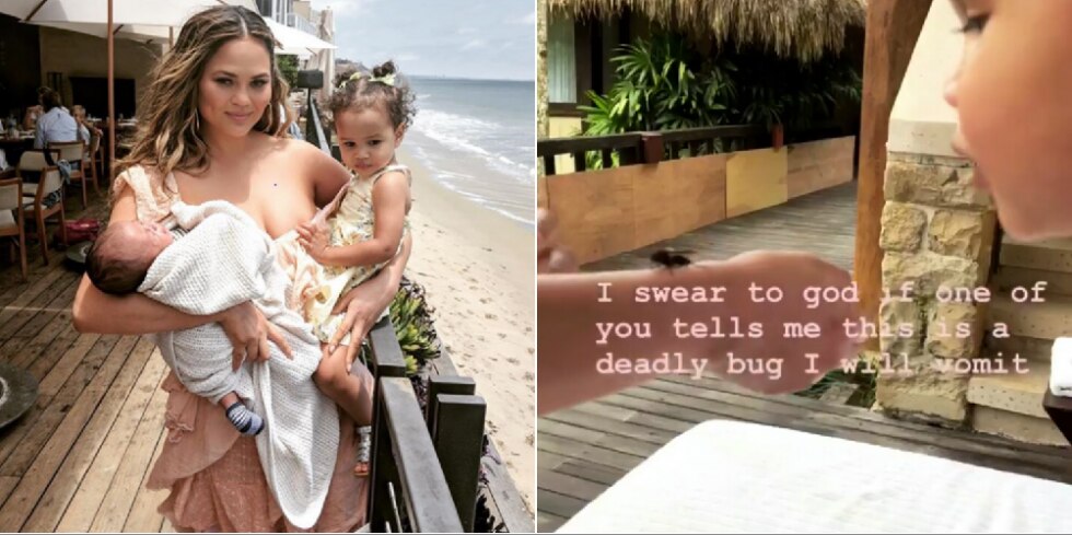 Chrissy Teigen and Her Daughter Played With a Tarantula Hawk Wasp, and the Internet Lost Its Mind Chrissy Teigen and Her Daughter Played With a Tarantula Hawk Wasp, and the Internet Lost Its Mind