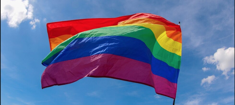 Experts Explain the Significance and History Behind Every LGBTQ+ Flag