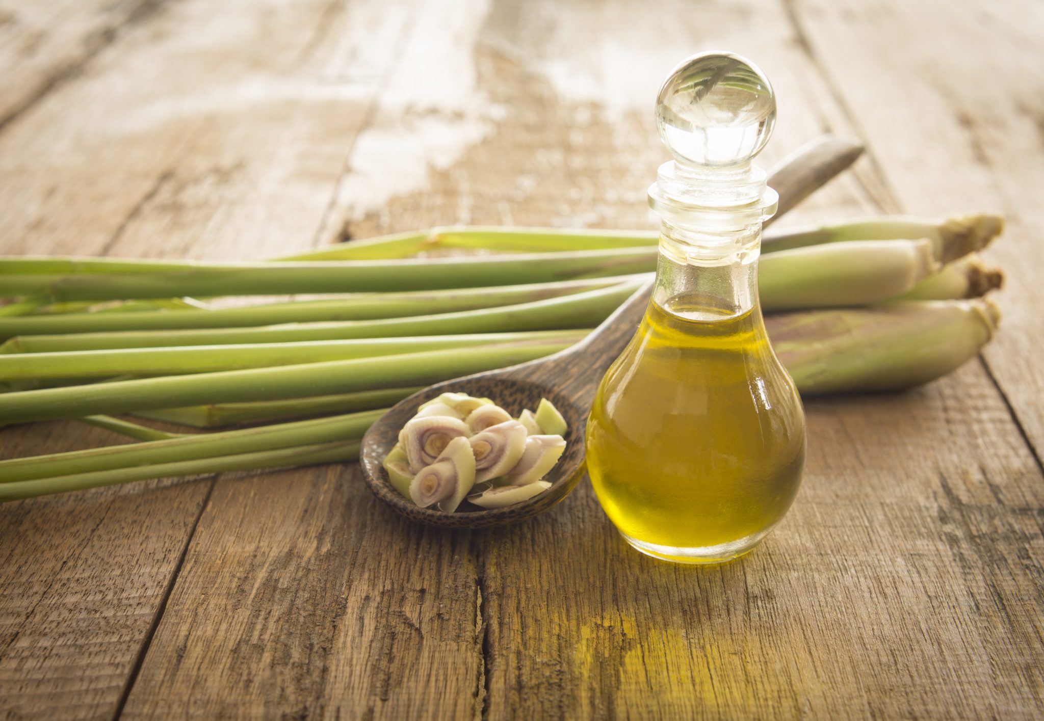 lemongrass-oil.jpg