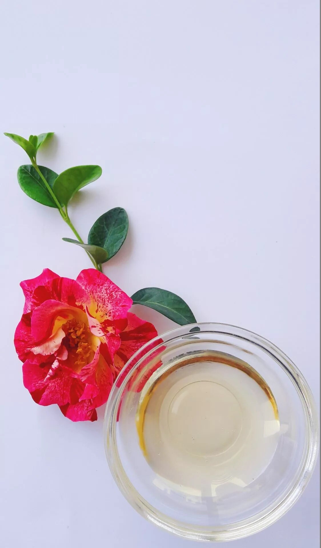 tsubaki20camellia20oil.jpg