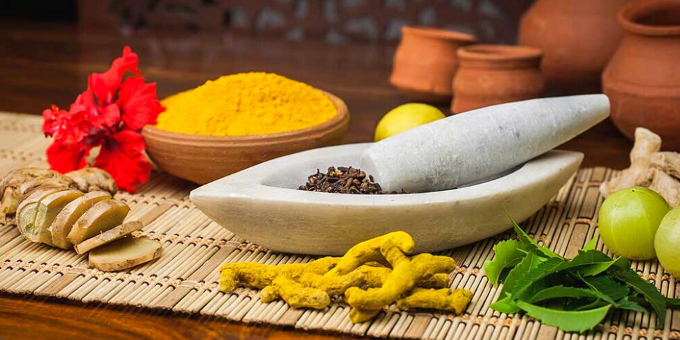 5 Immunity-Boosting Indian Herbs to Fight Infections Naturally