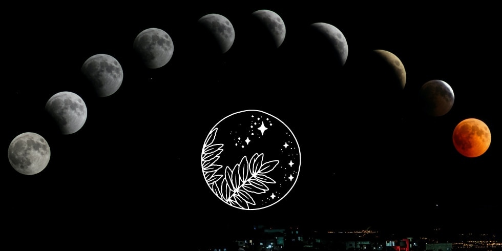 New Moon, New You: Here's How to Manifest Your Wishes on the Powerful New Moon of June 29 and Beyond