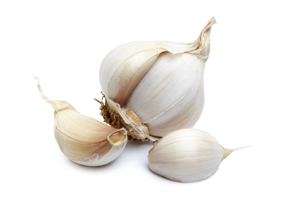 Garlic Garlic