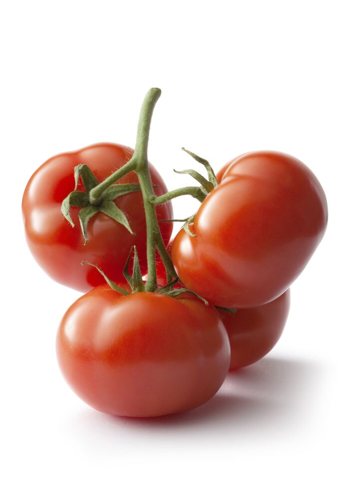 Tomatoes Tomatoes