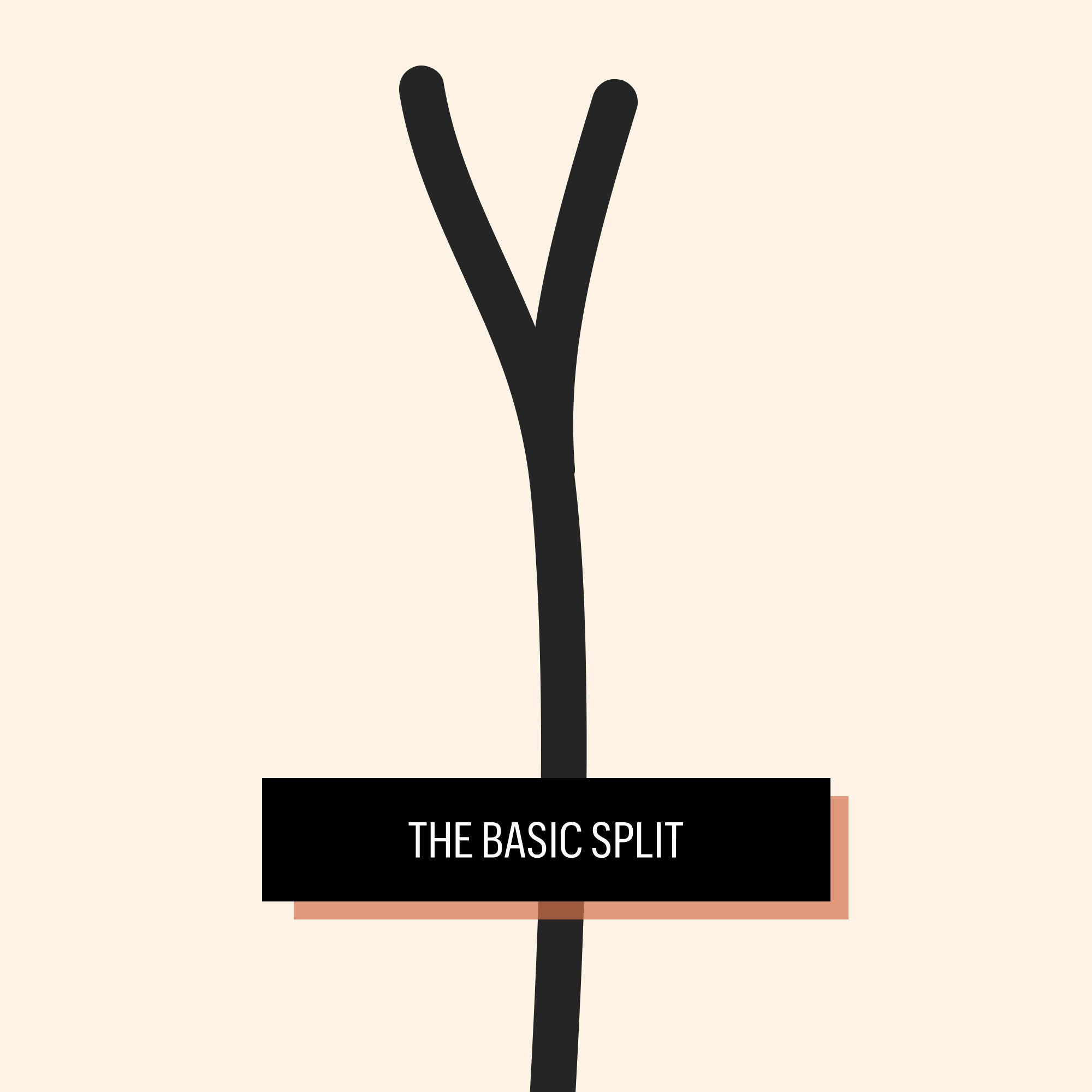 1461915708-1461874216-1461859330-basic-split.jpg