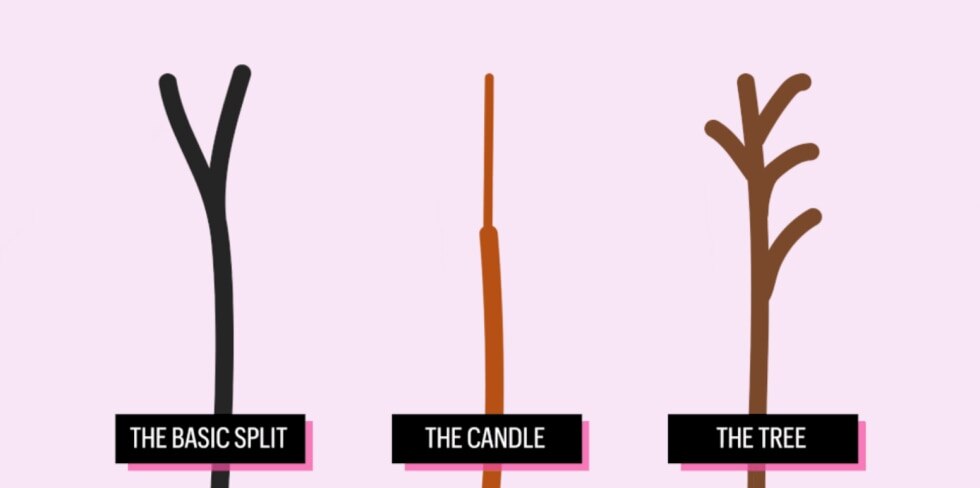 Here's What Your Split Ends Really Mean