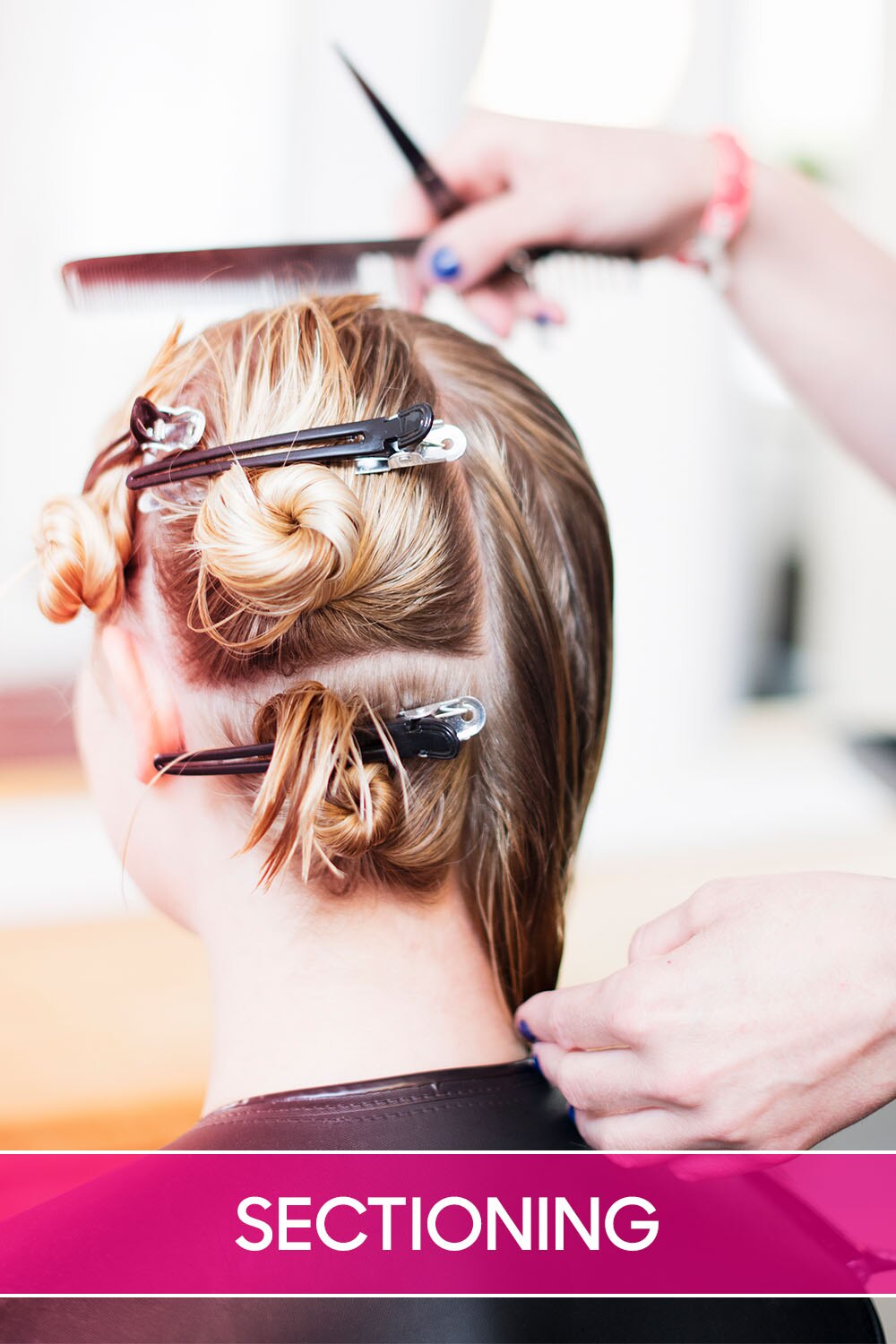 Sectioning