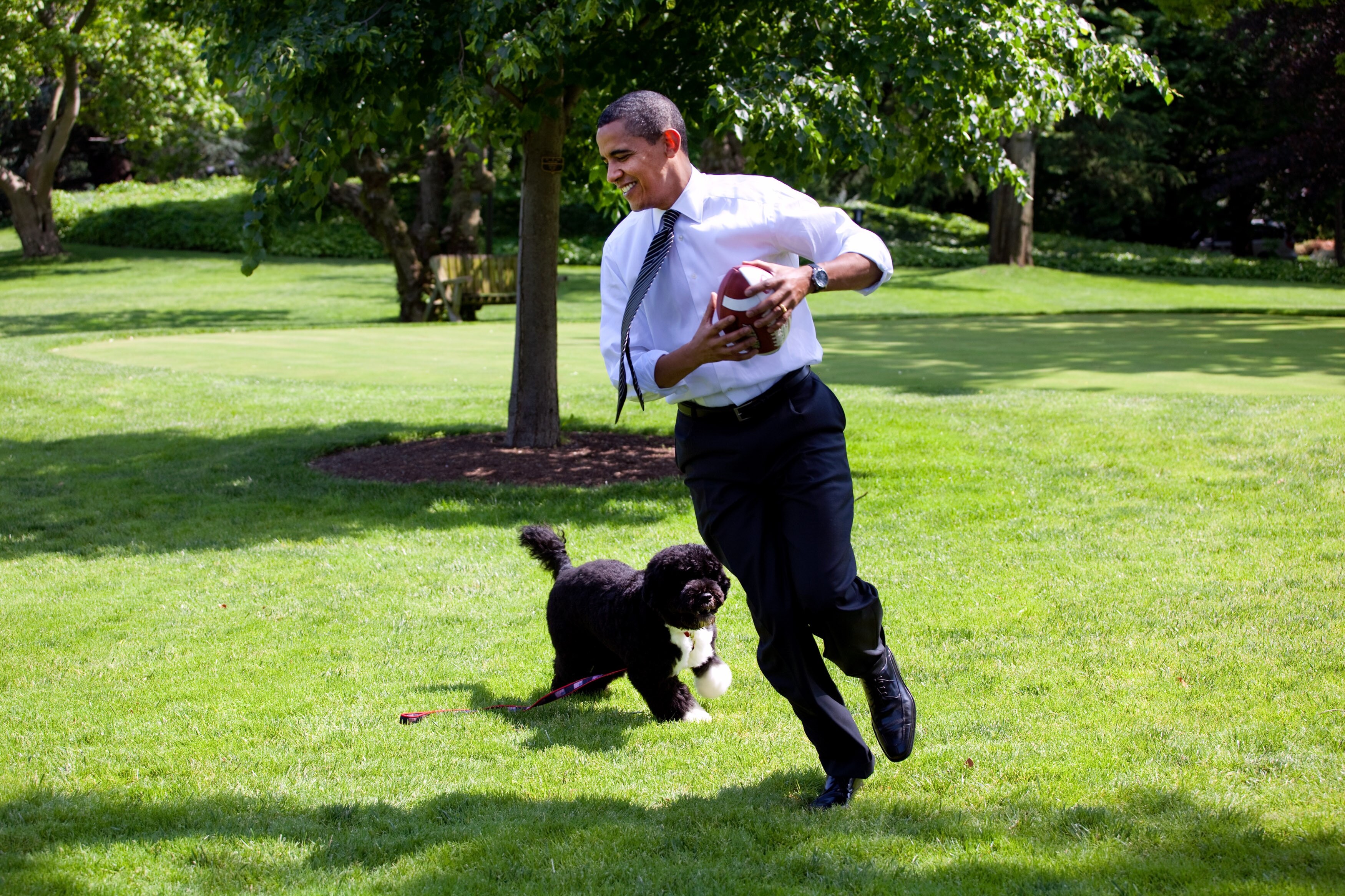 1467963527-1466344315-gettyimages-87365714_1.jpg