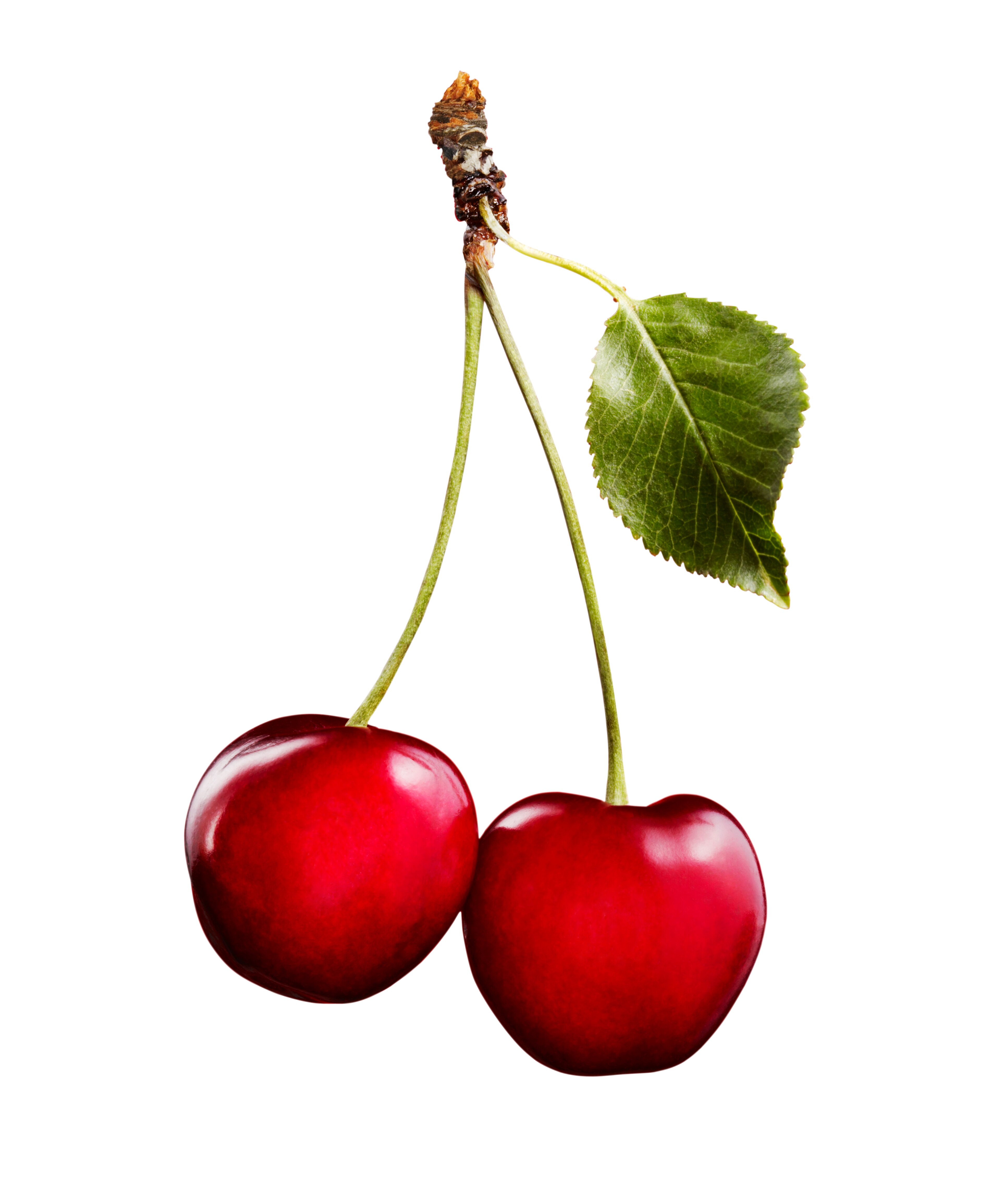 Who Has A Cherry Tattoo?