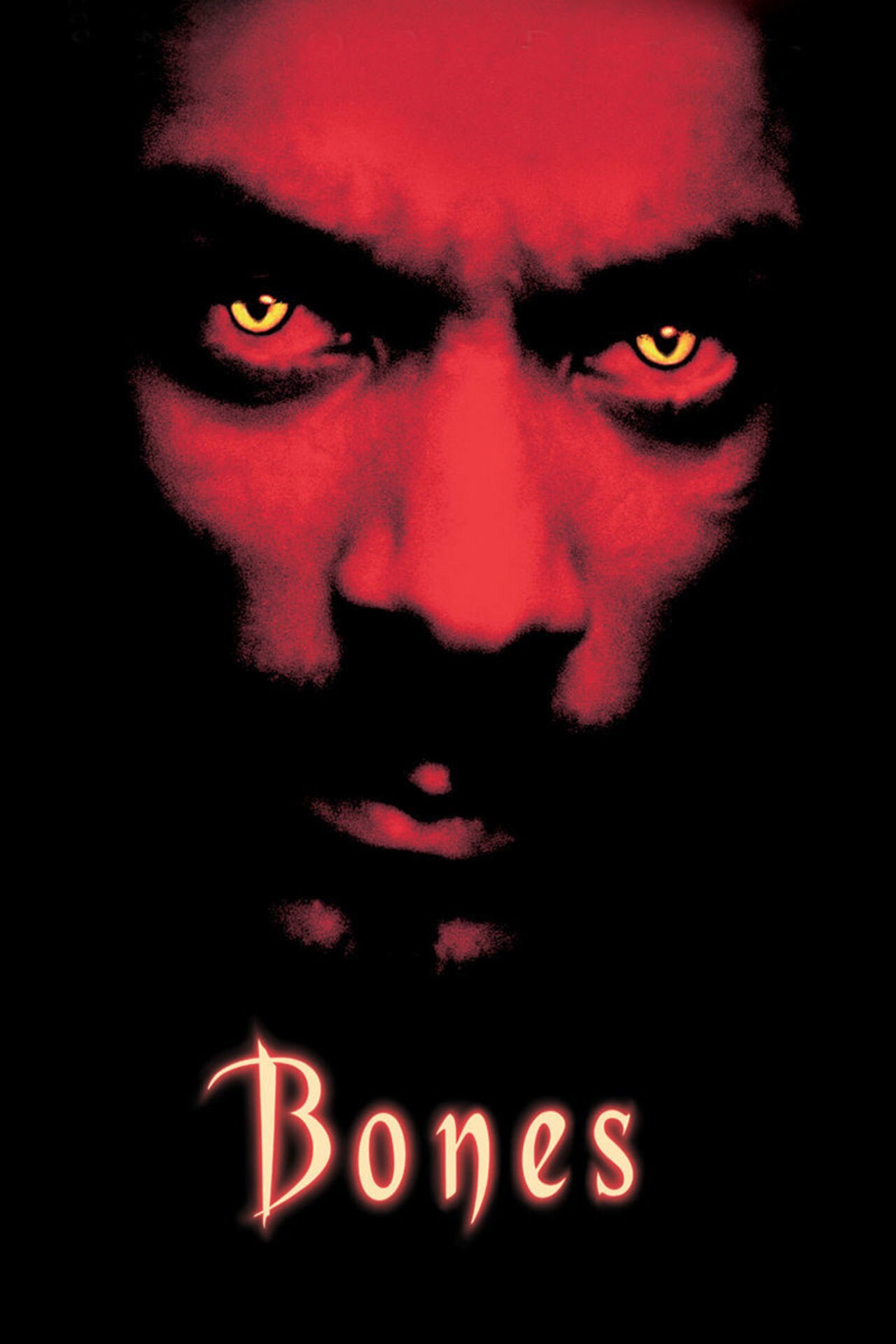 2001: <i>Bones</i> 2001: <i>Bones</i>