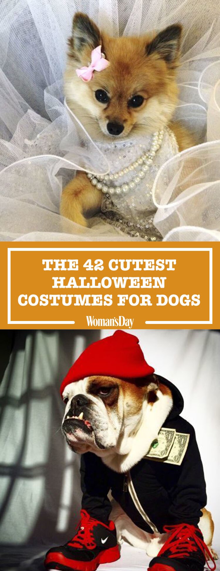 Pin this image!