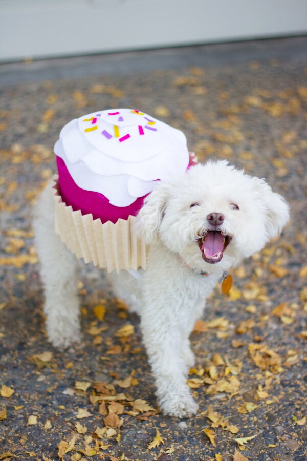 Cupcake