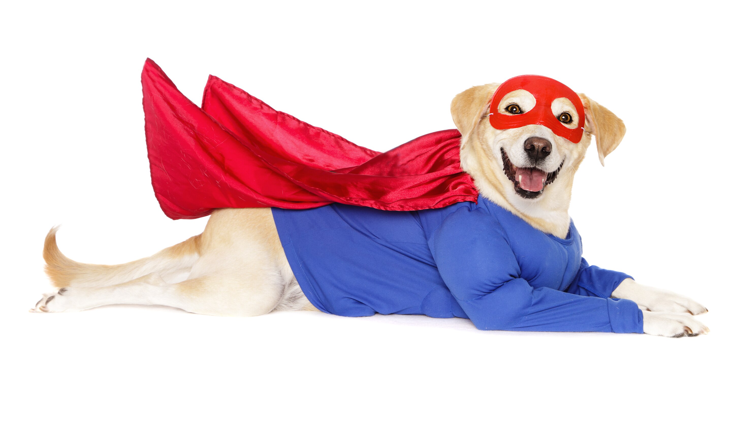 SuperDog
